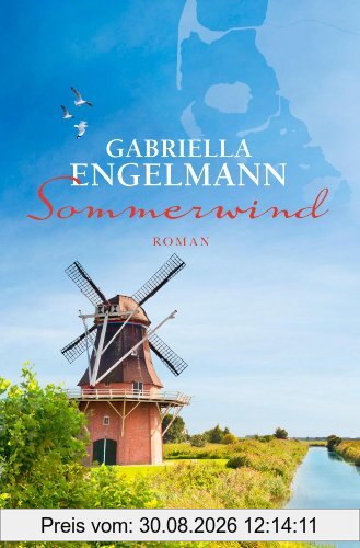 Sommerwind: Roman