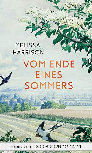 Vom Ende eines Sommers: Roman