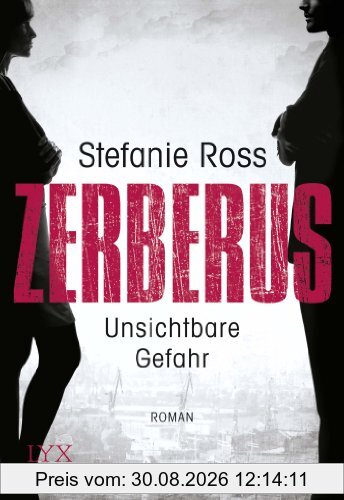 Zerberus - Unsichtbare Gefahr