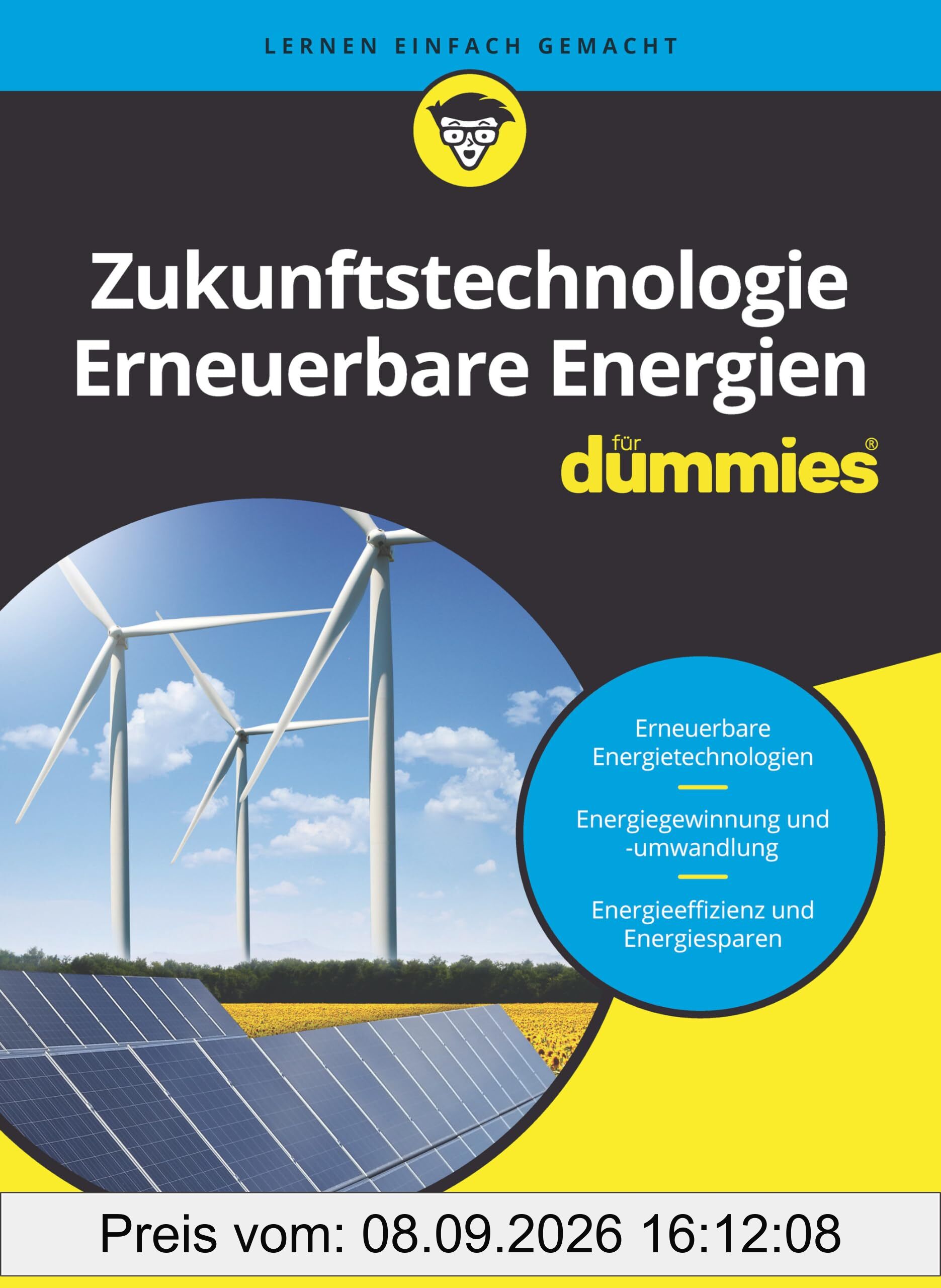 Zukunftstechnologie Erneuerbare Energien für Dummies
