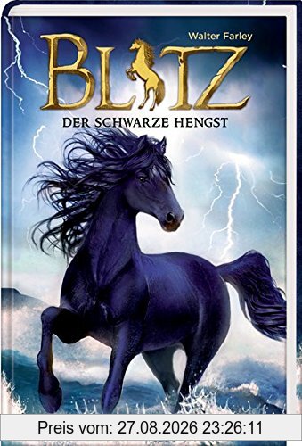 Blitz (Bd. 1): Der schwarze Hengst