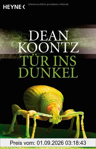 Tür ins Dunkel: Roman