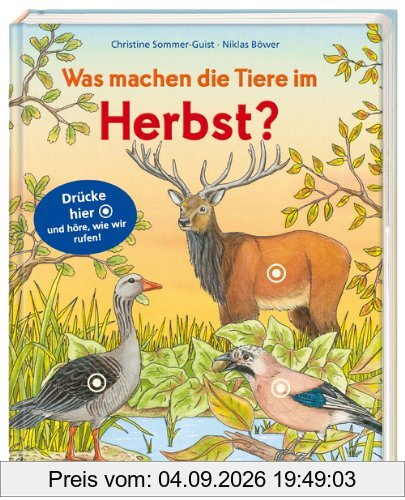 Was machen die Tiere im Herbst?