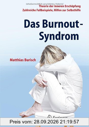 Das Burnout-Syndrom: Theorie der inneren Erschöpfung - Zahlreiche Fallbeispiele - Hilfen zur Selbsthilfe