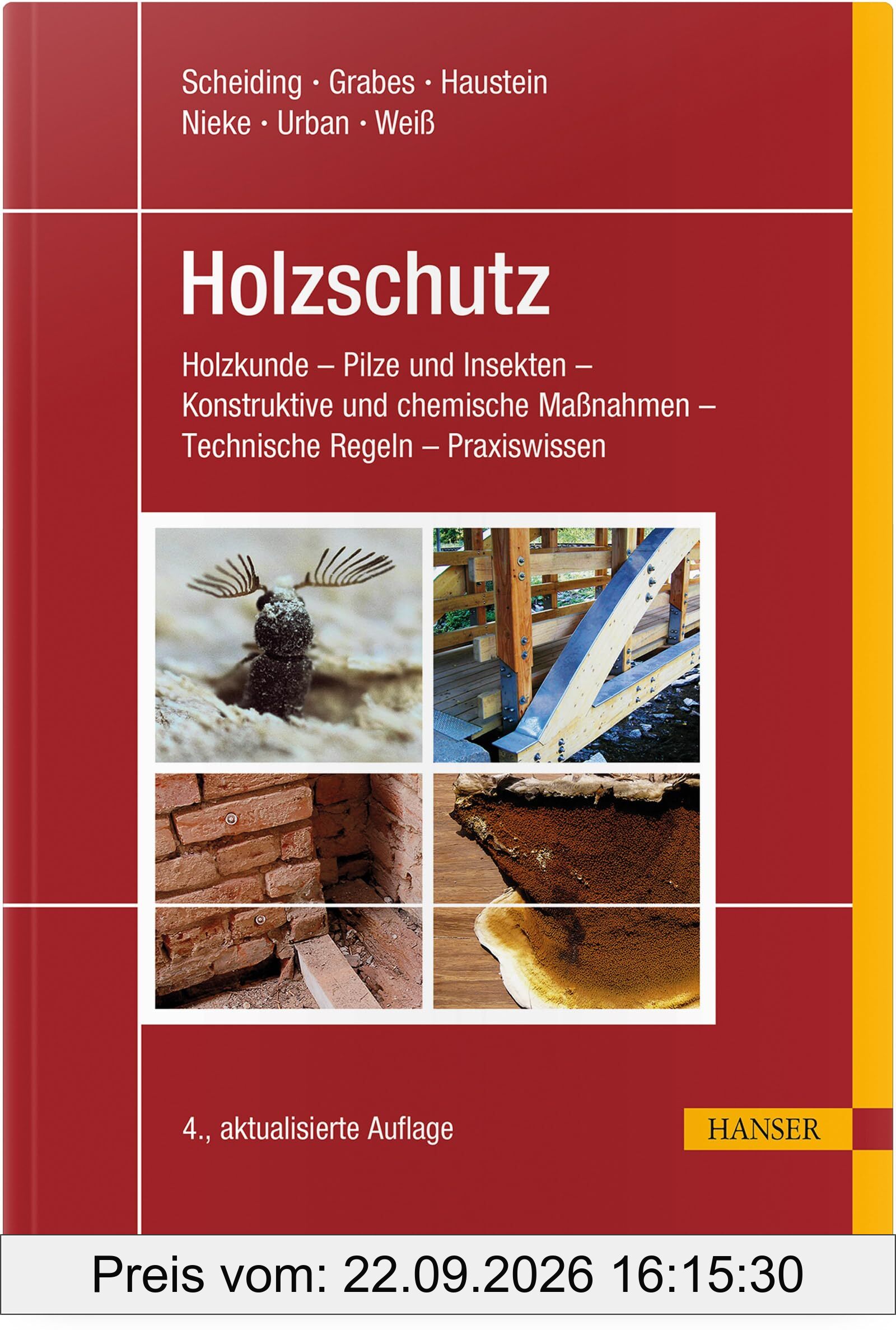 Holzschutz: Holzkunde - Pilze und Insekten - Konstruktive und chemische Maßnahmen - Technische Regeln - Praxiswissen