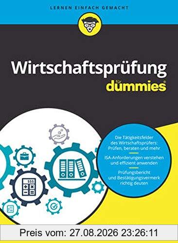 Wirtschaftsprüfung für Dummies