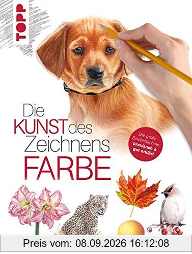 Die Kunst des Zeichnens Farbe: Die große Zeichenschule: praxisnah & gut erklärt