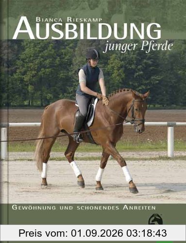 Ausbildung junger Pferde: Gewöhnung und schonendes Anreiten