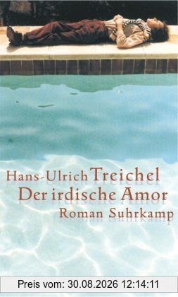 Der irdische Amor: Roman