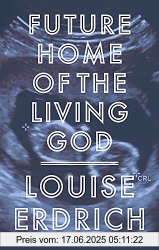 Binding : Taschenbuch, Label : Corsair, Publisher : Corsair, medium : Taschenbuch, numberOfPages : 352, publicationDate : 2018-09-06, releaseDate : 2018-09-06, authors : Louise Erdrich, ISBN : 1472153340