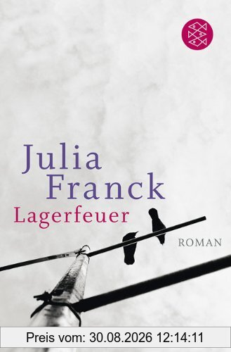 Lagerfeuer: Roman