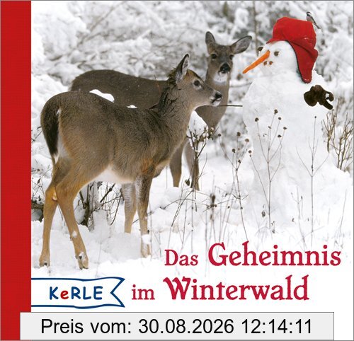 Das Geheimnis im Winterwald