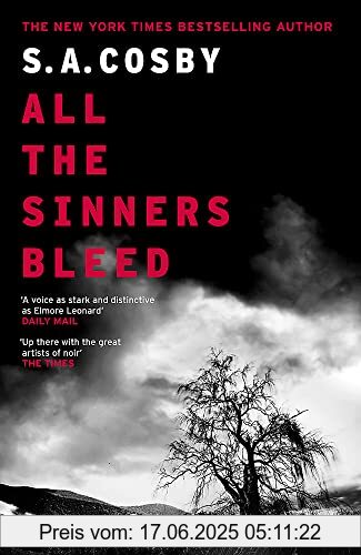 Binding : Taschenbuch, Edition : 1, Label : Headline, Publisher : Headline, medium : Taschenbuch, numberOfPages : 352, publicationDate : 2023-06-06, releaseDate : 2023-06-06, authors : Cosby, S. A., ISBN : 1472299140