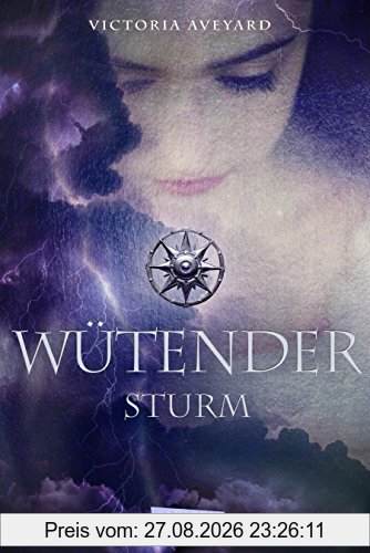 Wütender Sturm (Die Farben des Blutes 4)