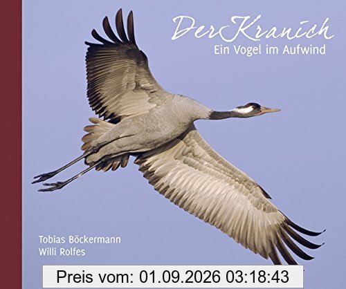 Der Kranich: Ein Vogel im Aufwind