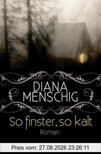 So finster, so kalt: Roman