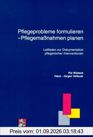 Pflegeprobleme formulieren, Pflegemassnahmen planen. Leitfaden zur Dokumentation pflegerischer Interventionen