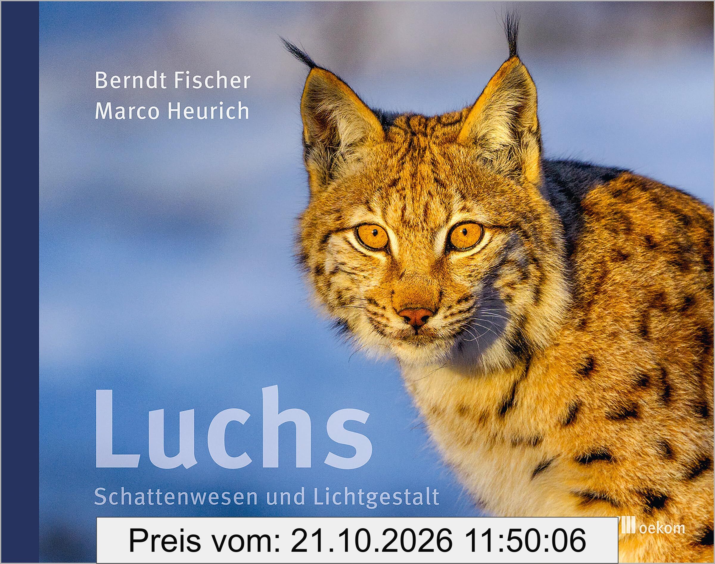 Luchs
