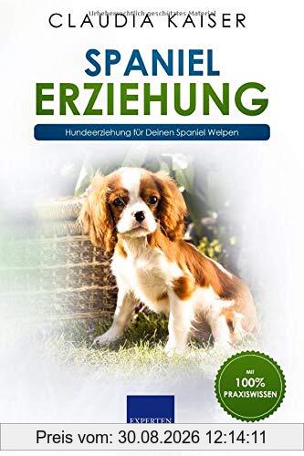 Spaniel Erziehung: Hundeerziehung für Deinen Spaniel Welpen