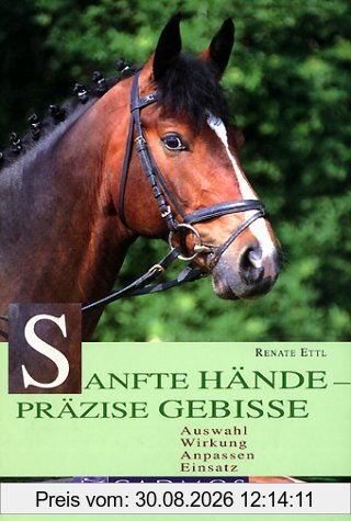 Sanfte Hände - präzise Gebisse