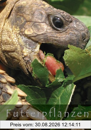 Futterpflanzen: Futterpflanzen für Schildkröten und Echsen Futterpflanzen für Europäische Schildkröten