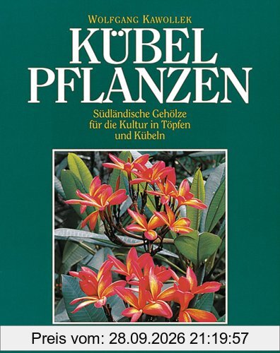 Kübelpflanzen: Südländische Gehölze für die Kultur in Töpfen und Kübeln