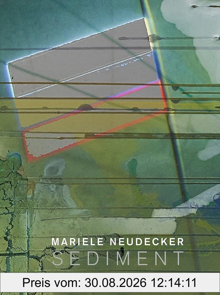 Mariele Neudecker: Sediment
