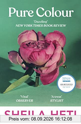 Pure Colour: the new novel from the author of Motherhood and How Should A Person Be?