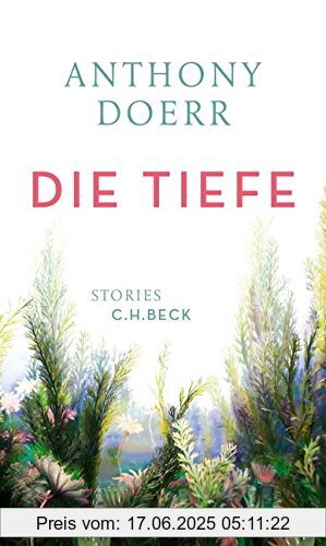 Binding : Gebundene Ausgabe, Edition : 1, Label : C.H.Beck, Publisher : C.H.Beck, medium : Gebundene Ausgabe, numberOfPages : 267, publicationDate : 2017-07-21, authors : Anthony Doerr, translators : Werner Löcher-Lawrence, languages : german, ISBN : 3406692516