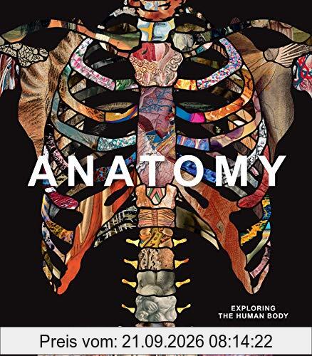 Anatomy: Exploring the Human Body (Explorer)