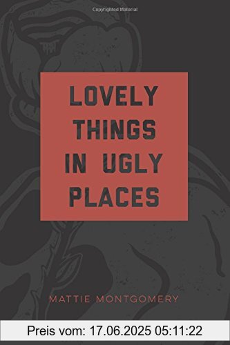 Binding : Taschenbuch, Edition : 1, Label : Mattie Montgomery Ministries, Publisher : Mattie Montgomery Ministries, NumberOfItems : 1, medium : Taschenbuch, numberOfPages : 208, publicationDate : 2016-10-11, authors : Mattie Montgomery, ISBN : 0692792686
