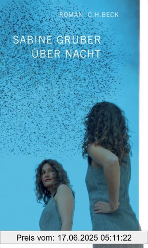 Binding : Gebundene Ausgabe, Edition : 2, Label : C.H.Beck, Publisher : C.H.Beck, medium : Gebundene Ausgabe, numberOfPages : 239, publicationDate : 2007-04-13, authors : Sabine Gruber, languages : german, ISBN : 3406556124