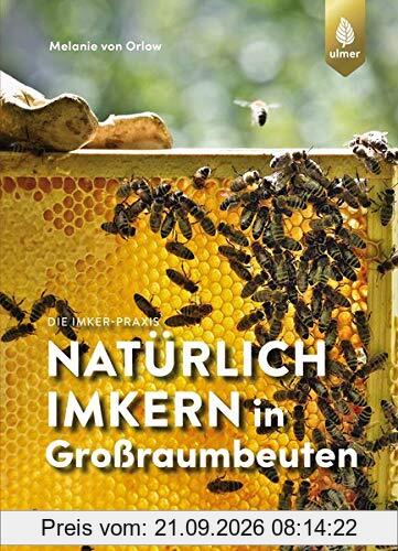 Natürlich imkern in Großraumbeuten