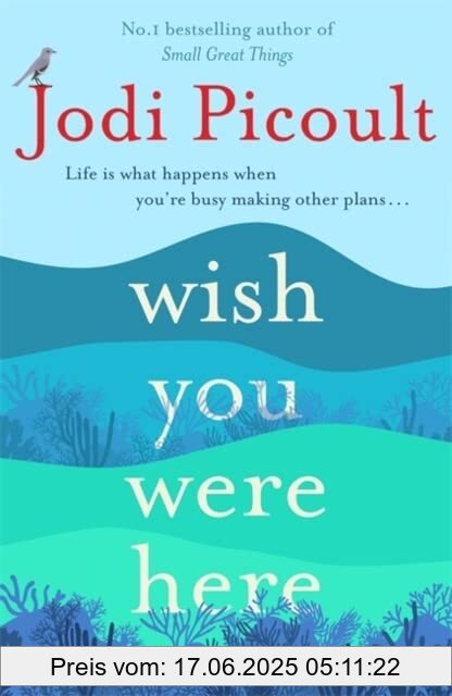 Brand : Hodder And Stoughton Ltd., Binding : Taschenbuch, Edition : 1, Label : Hodder And Stoughton Ltd., Publisher : Hodder And Stoughton Ltd., medium : Taschenbuch, numberOfPages : 321, publicationDate : 2022-06-14, releaseDate : 2022-06-14, authors : Jodi Picoult, ISBN : 1473692547