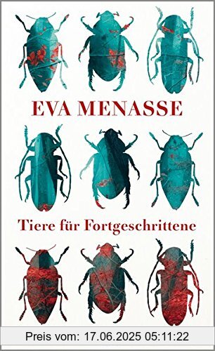 Binding : Gebundene Ausgabe, Label : Kiepenheuer&Witsch, Publisher : Kiepenheuer&Witsch, medium : Gebundene Ausgabe, numberOfPages : 320, publicationDate : 2017-03-09, releaseDate : 2017-03-09, authors : Eva Menasse, languages : german, ISBN : 3462047914