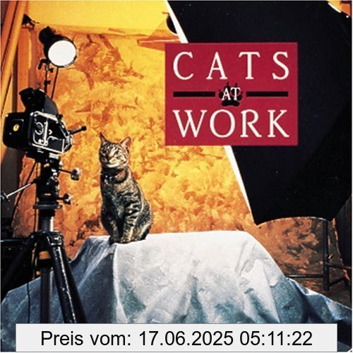 Binding : Gebundene Ausgabe, Label : Abbeville Press, Publisher : Abbeville Press, NumberOfItems : 1, medium : Gebundene Ausgabe, numberOfPages : 96, publicationDate : 1991-03-01, authors : Rhonda Gray, Robinson, Stephen T., ISBN : 1558591532