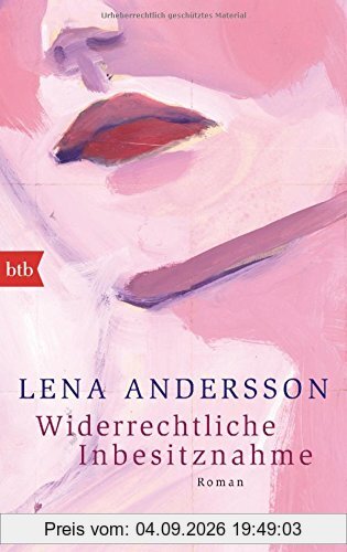 Widerrechtliche Inbesitznahme: Roman