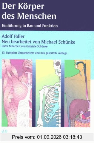 Der Körper des Menschen