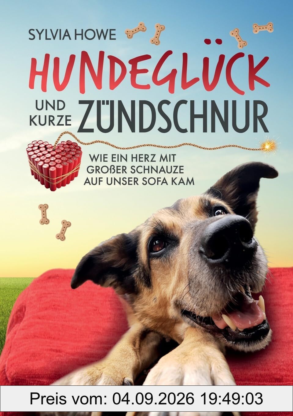 Hundeglück und kurze Zündschnur: Wie ein Herz mit großer Schnauze auf unser Sofa kam (Chaospfotenprojekt)