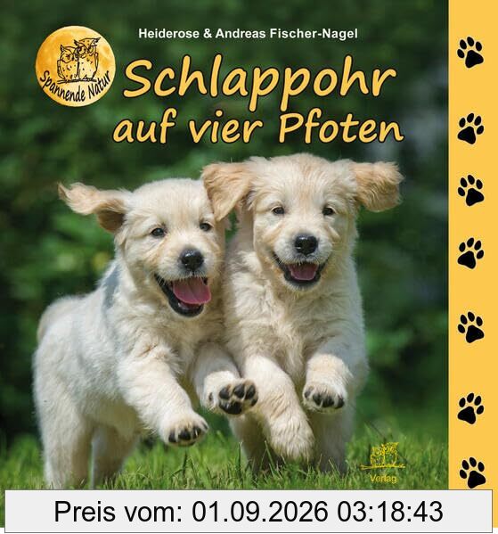 Schlappohr auf vier Pfoten