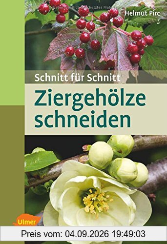 Ziergehölze schneiden: Schnitt für Schnitt