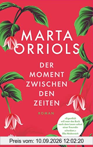 Der Moment zwischen den Zeiten: Roman