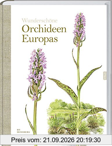 Orchideen Europas