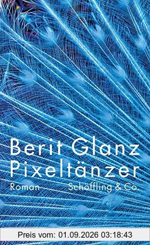 Pixeltänzer: Roman
