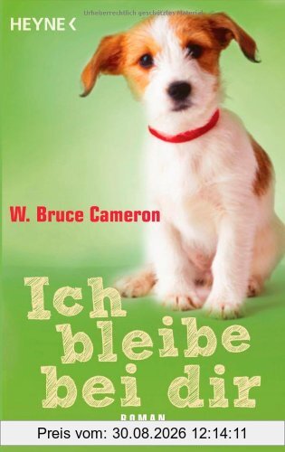 Ich bleibe bei dir: Roman