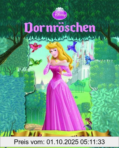 Disney: Dornröschen mit Kippbild: Buch zum Film