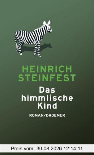 Das himmlische Kind: Roman