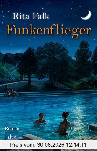 Funkenflieger: Roman