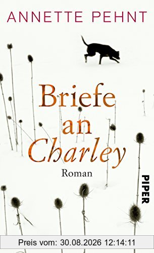 Briefe an Charley: Ein Roman