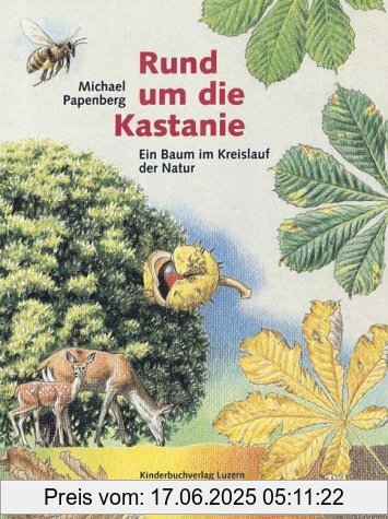 Binding : Gebundene Ausgabe, Label : Sauerländer, Publisher : Sauerländer, medium : Gebundene Ausgabe, publicationDate : 1996-01-01, authors : Michael Papenberg, languages : german, ISBN : 3276001624